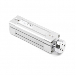 Двухштоковый пневмоцилиндр PTRM-100-350 Pemaks