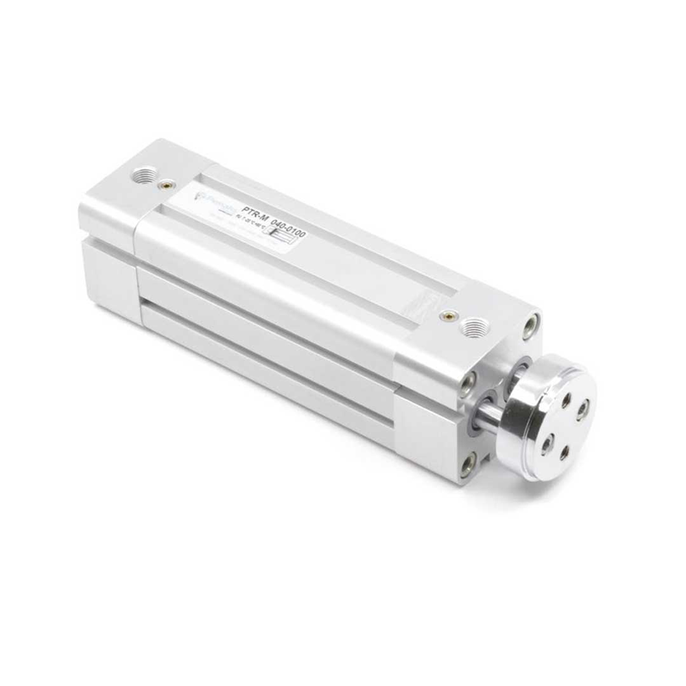 Двухштоковый пневмоцилиндр PTRM-50-250 Pemaks